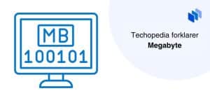 Techopedia forklarer Megabyte