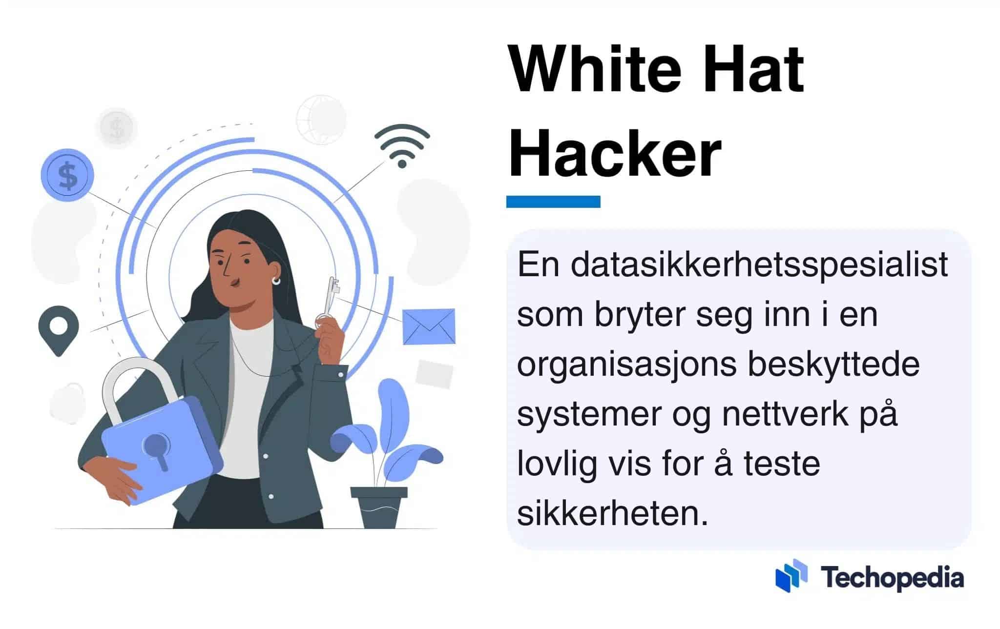 White Hat Hacker definisjon