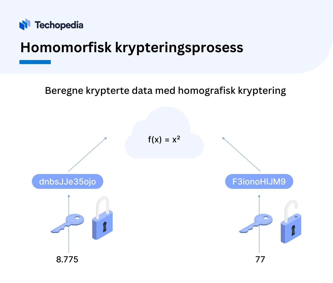 Homomorfisk krypteringsprosess