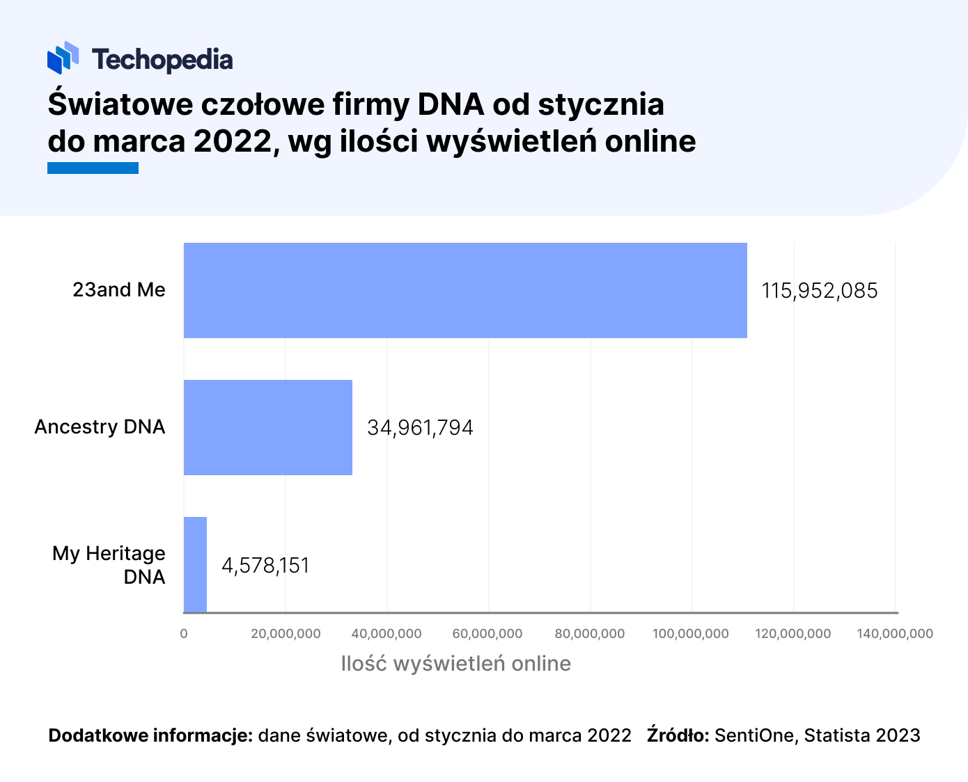 czołowe firmy dna