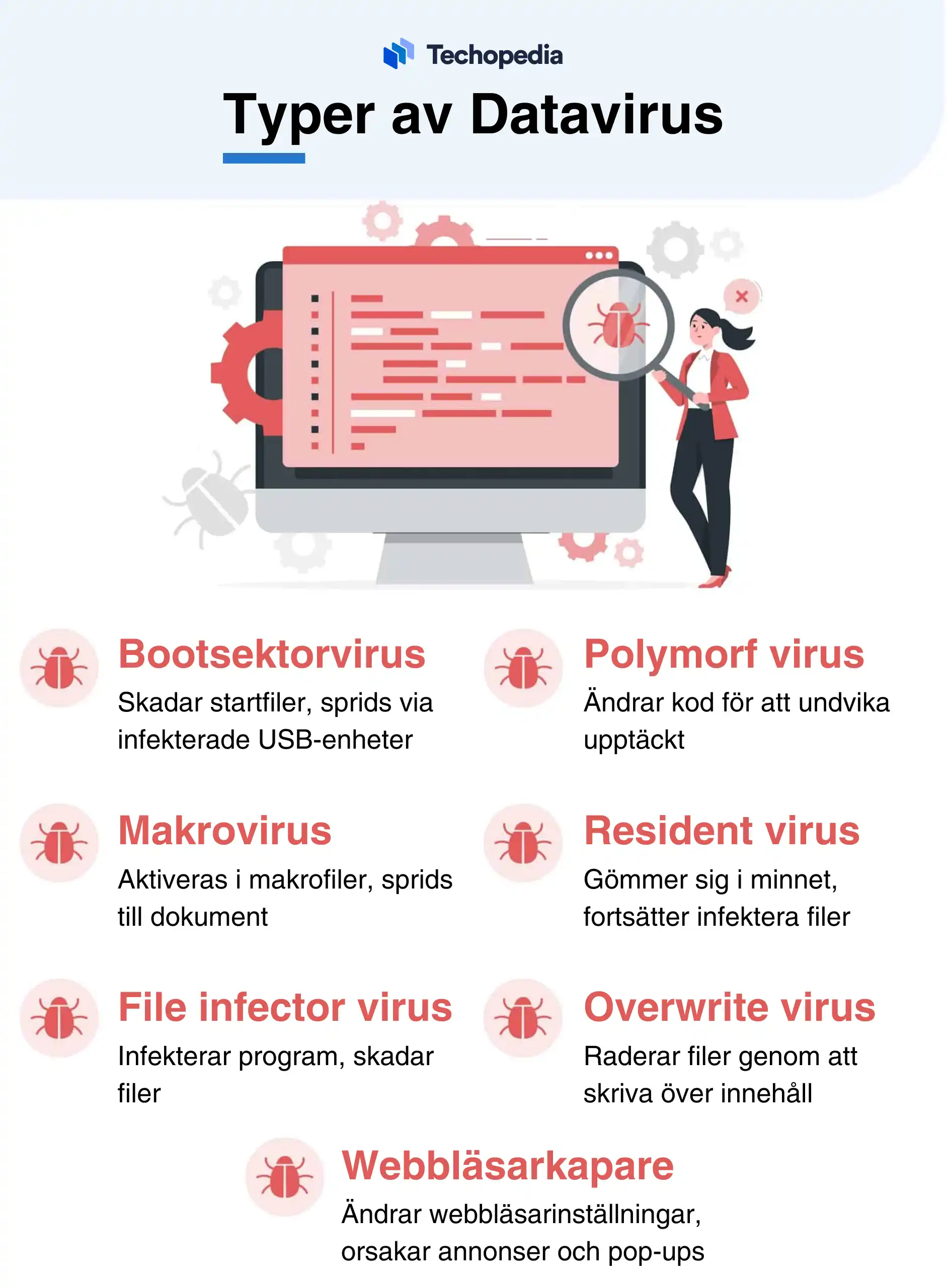 Infografik som beskriver olika typer av datavirus, inklusive bootsektorvirus, polymorfa virus och webbläsarkapare.