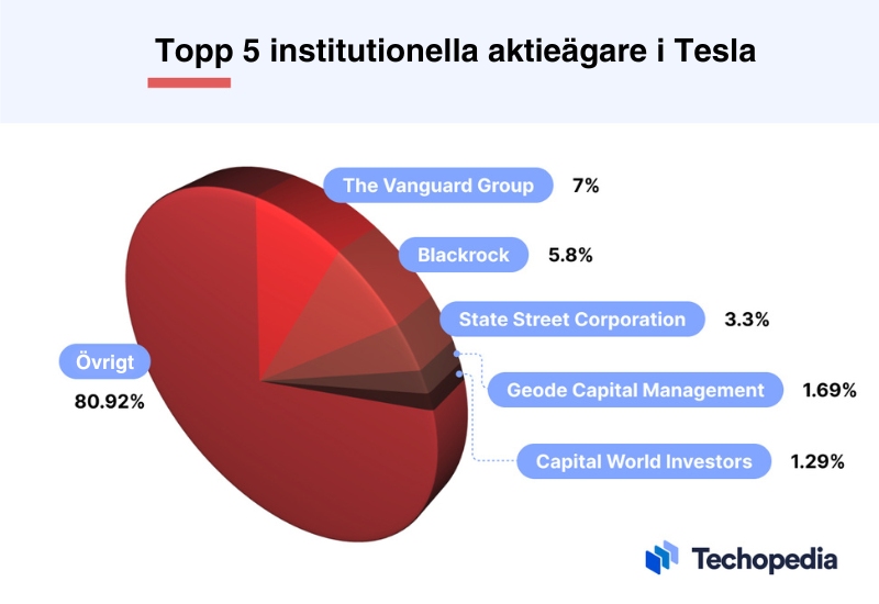 Cirkeldiagram över topp 5 institutionella aktieägare i Tesla