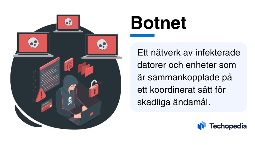 Illustration av en hacker vid en dator brevid kort beskrivning av vad botnet är.