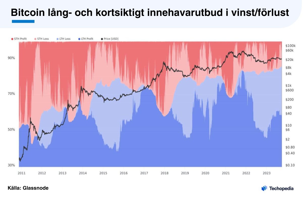 Bitcoin lång- och kortsiktigt innehav i vinst/förlust.