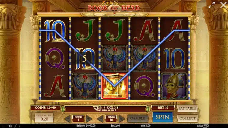 Book of Dead-slot där wild-symbolen i form av en gravkammare ersätter andra symboler och aktiverar vinstlinjer.