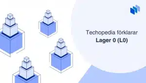 Illustration av flera staplade block med texten Techopedia förklarar Lager 0 (L0).