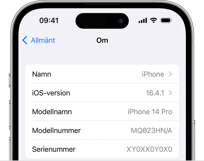 Skärmbild av en iPhone som visar enhetens information.
