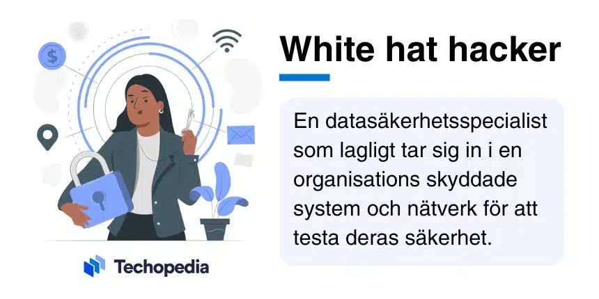 Techopedia förklarar rollen som White Hat Hacker med illustration av person som analyserar data.