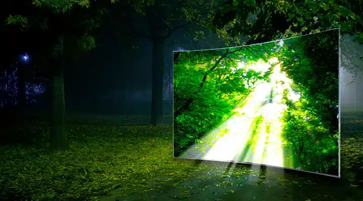 Samsung LED-TV visar skarpa och levande färger med en grön skog i bakgrunden vilket framhäver dess naturliga färgåtergivning.