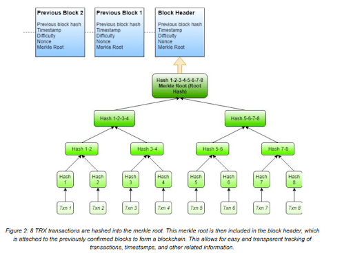 Diagram över TRX-transaktioner hashas in i en Merkle Root, som sedan inkluderas i blockheadern för blockchain-spårning.