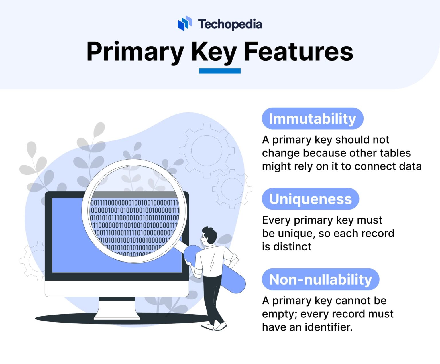 What is a Primary Key? Definition, Features & Best Practices - Techopedia