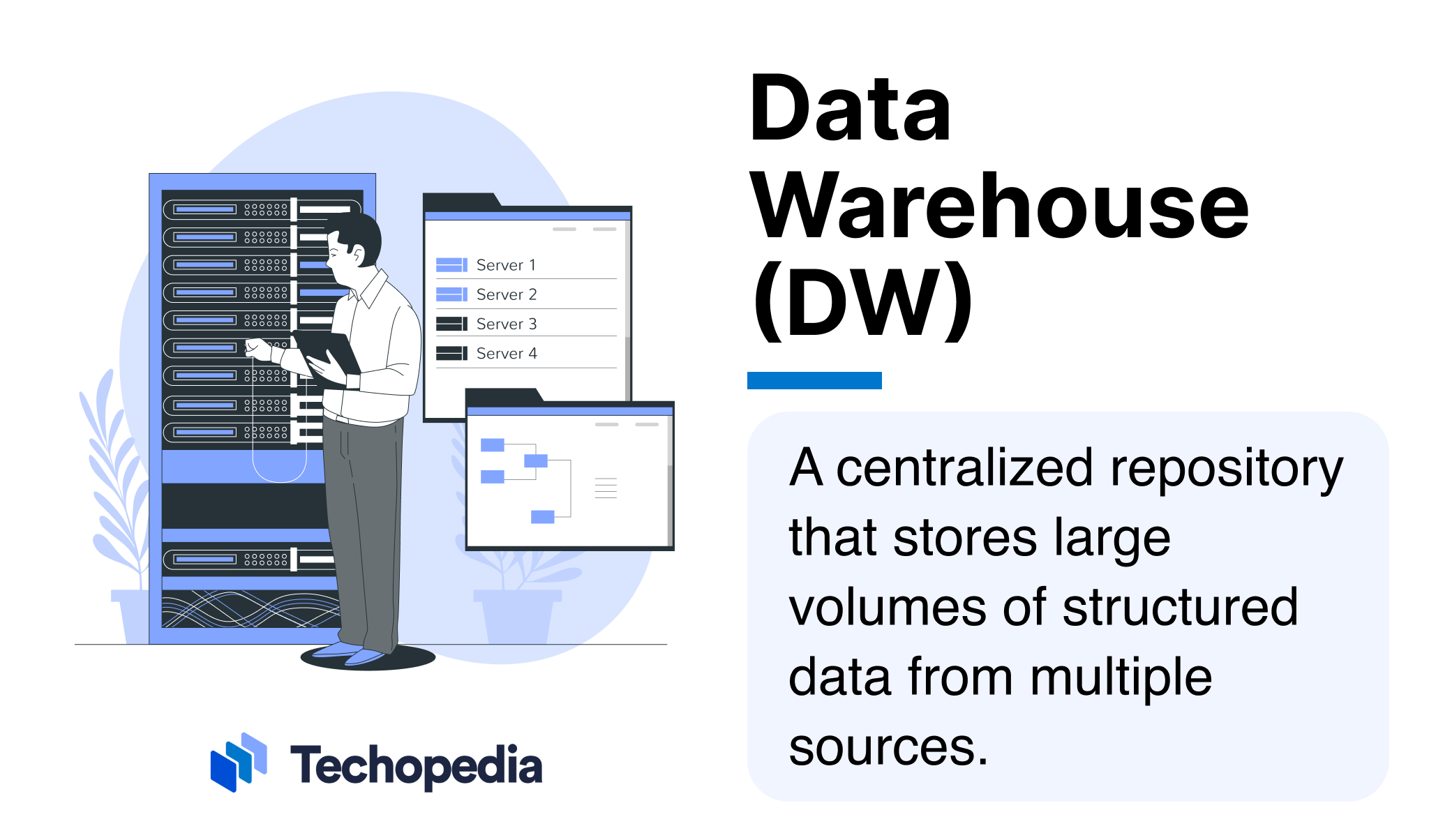 What Is a Data Warehouse (DW)?
