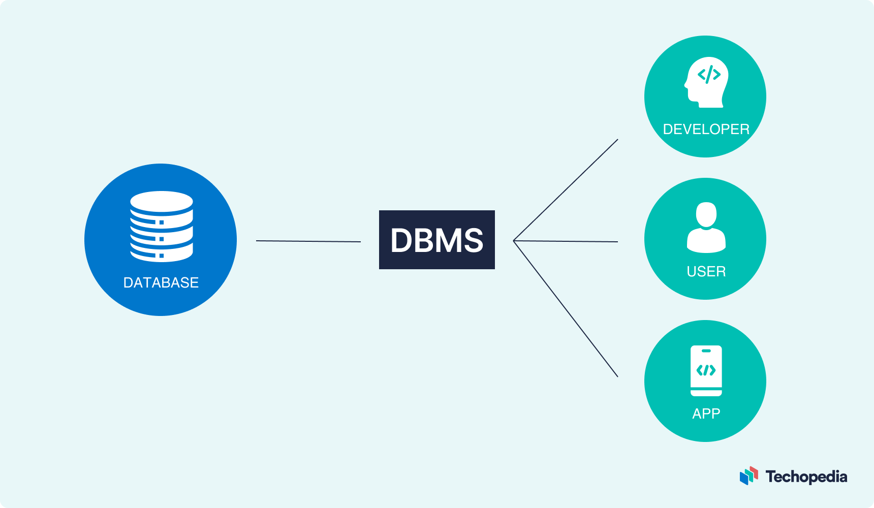 Database Software and Applications