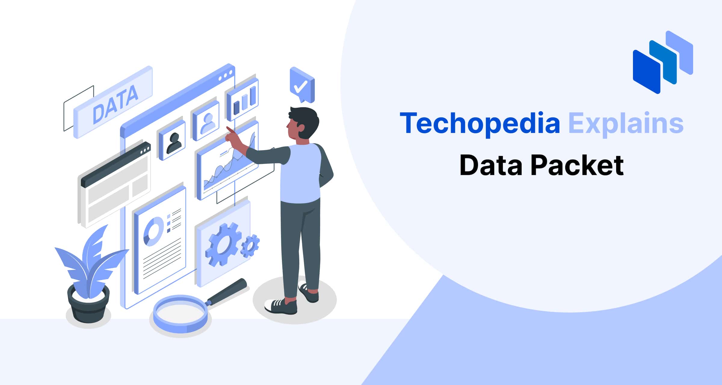 What is a Data Packet? Definition, Structure & Examples