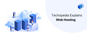 What is web hosting