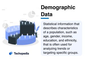 What is Demographic Data