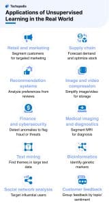 Applications of Unsupervised Learning in the Real World
