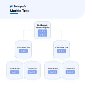 Merkle three