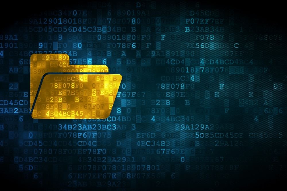The Programming Languages Behind Online File Sharing