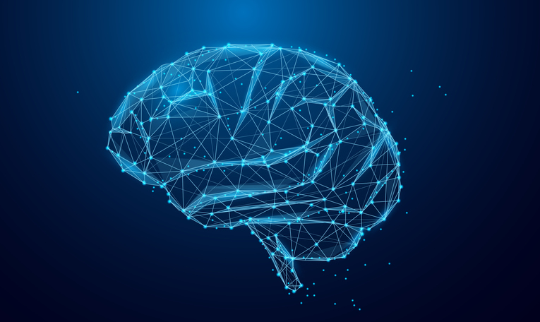 Graphic of brain wiring.