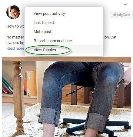Google+ showing menu with View Ripples
