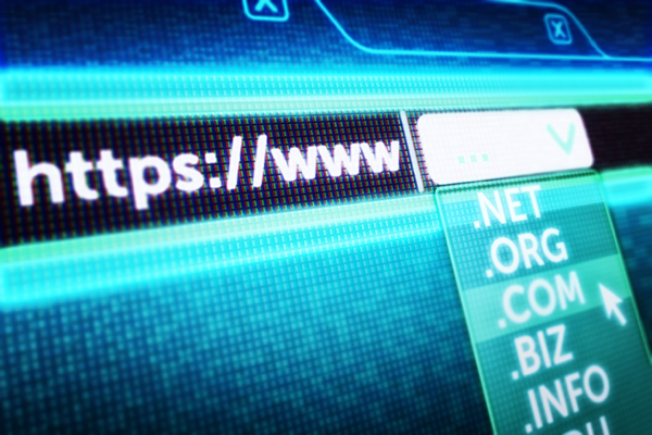 Close-up view of a computer screen with a web browser with text "http www" and a frame with domain names