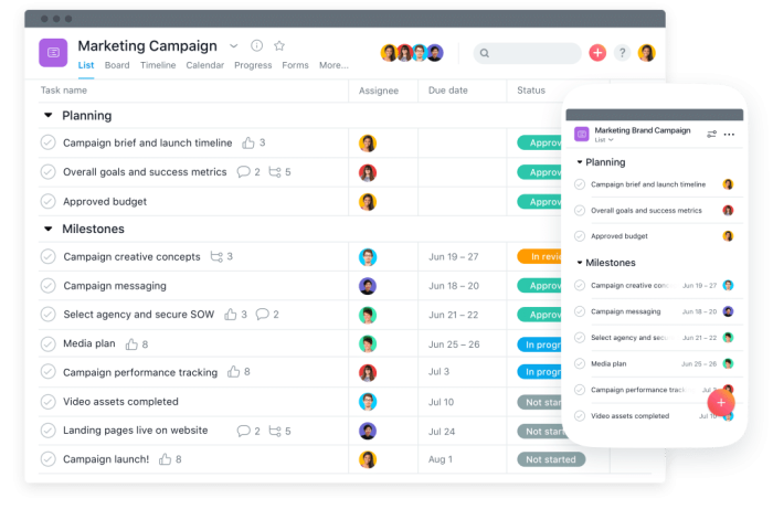 Asana | Top project tracking tool