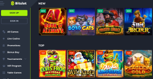 Bitslot Casino