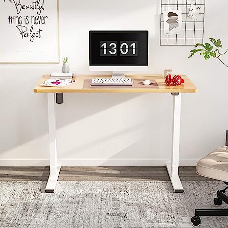 Flexispot adjustable standing desk for gamers