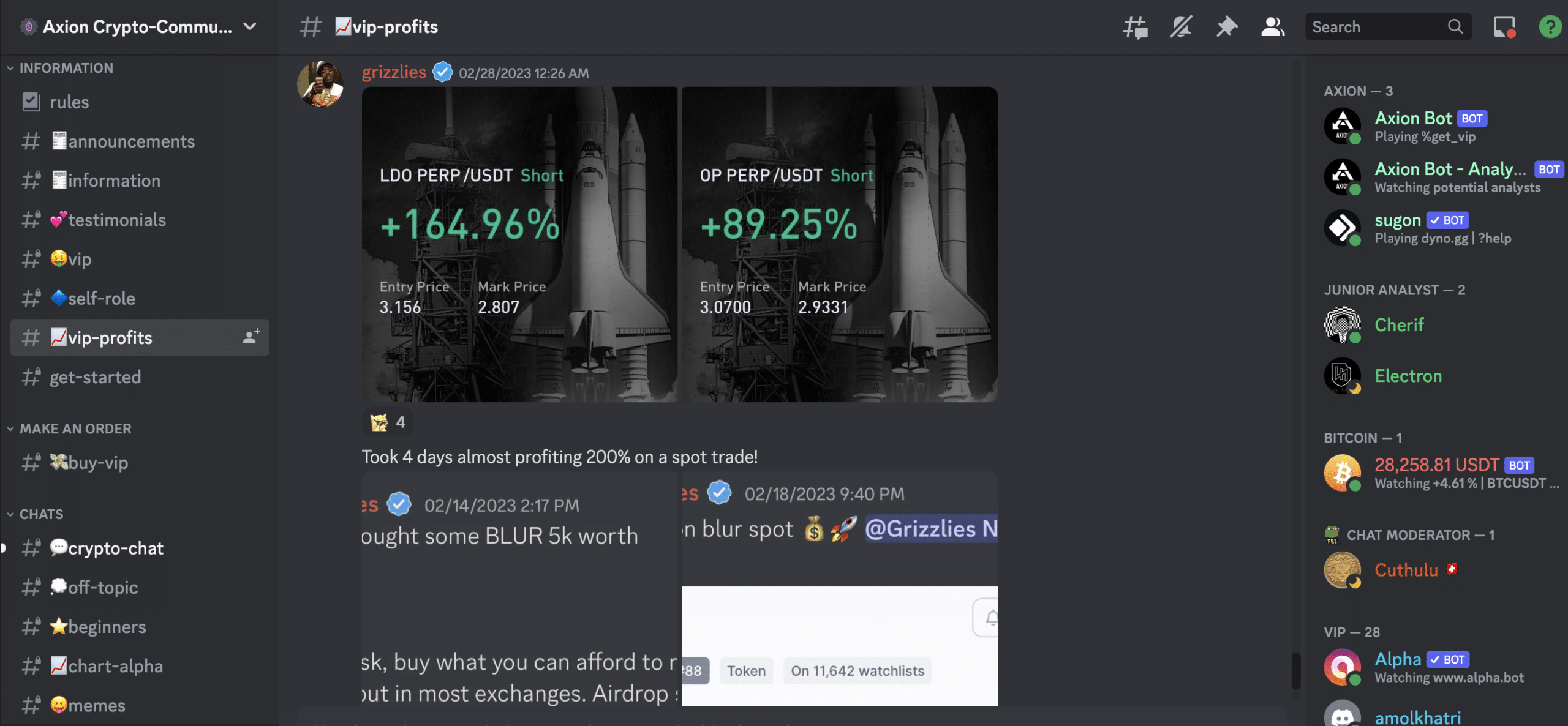 Bitcoin Investment Group Discord