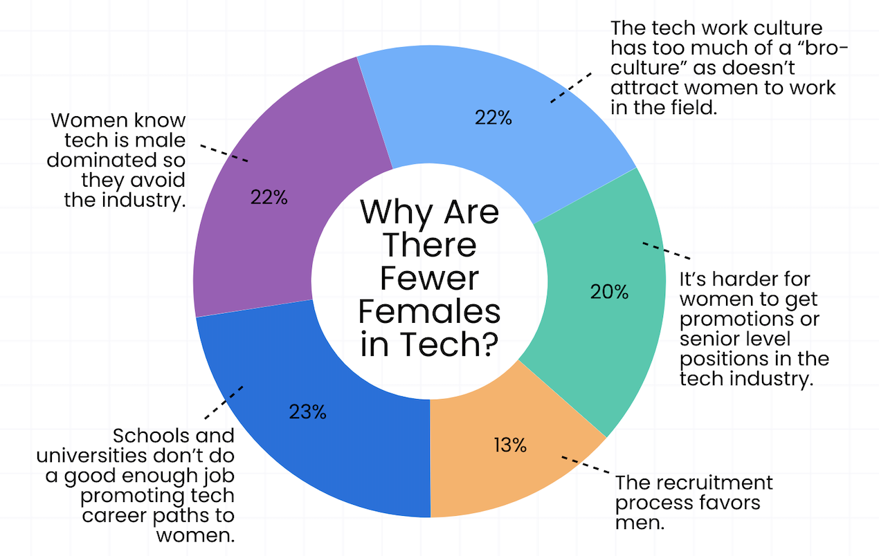 Infographic showing why there are fewer females then men in tech