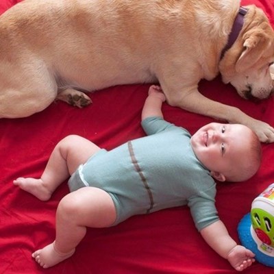 baby and dog lying on red blanket