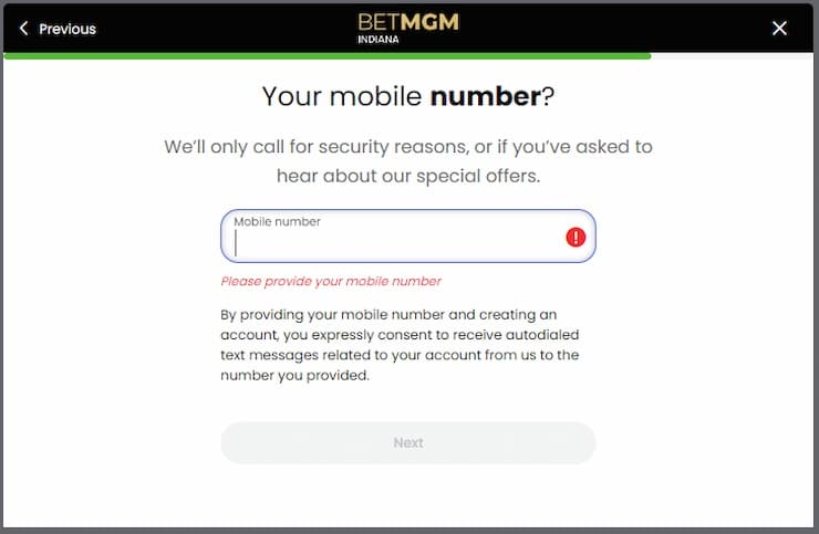 BetMGM Illinois gambling security