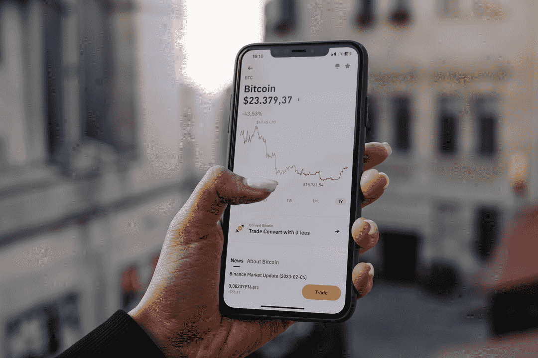 crypto portfolio asset allocation