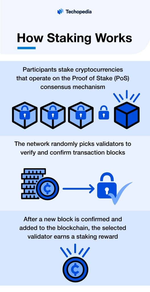 What is Staking? Definition, Types & How It Works - Techopedia