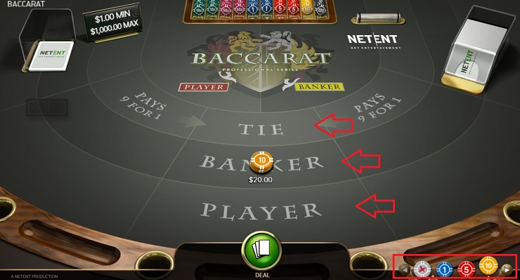 How to Play Baccarat - Place the Bet