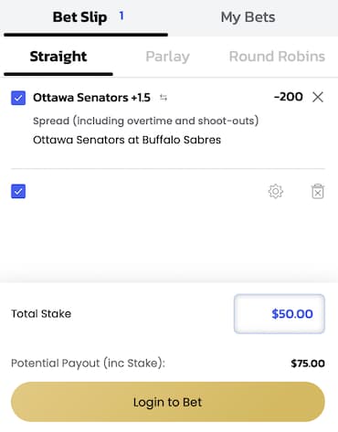 BetMGM Bet Slip