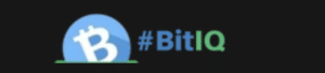 BitIQ Logo