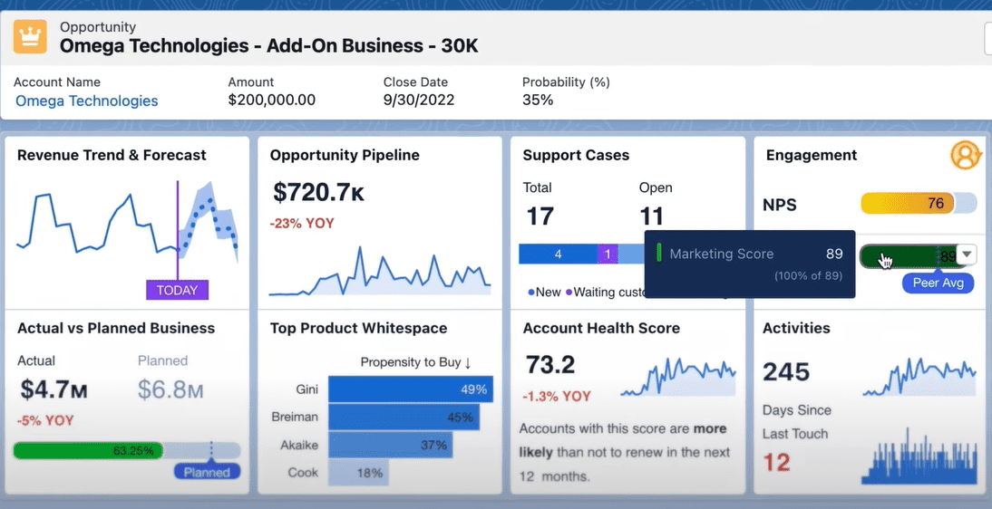 CRM Analytics Tool