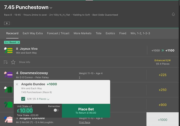horse racing each way betting