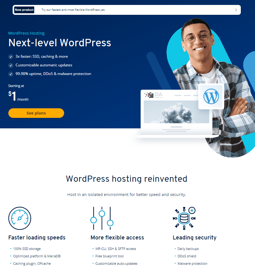 IONOS WP Hosting