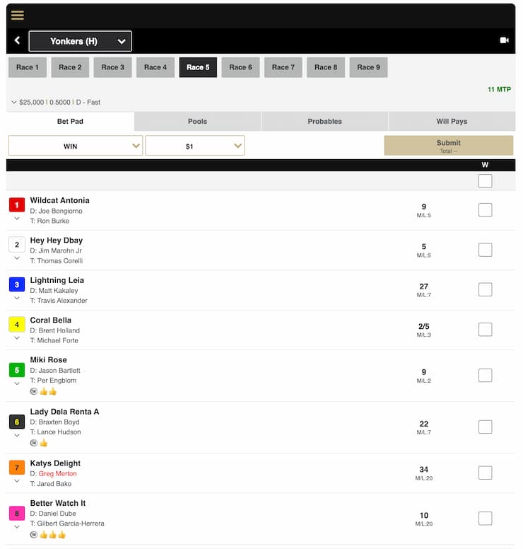 horse racing parimutuel betting