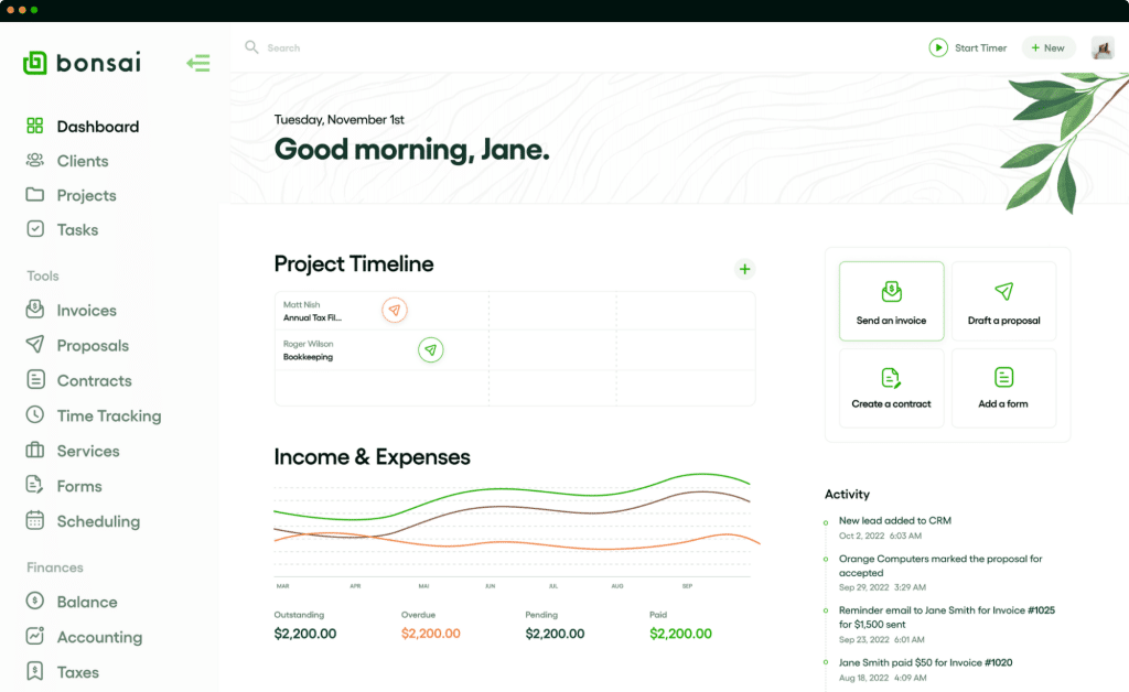 Bonsai dashboard that includes income and expenses