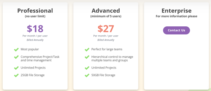 ProWorkflow pricing