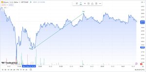 Example of Bitcoin Day Trading with Profit.