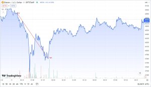Example of Bitcoin Day Trading with Loss.