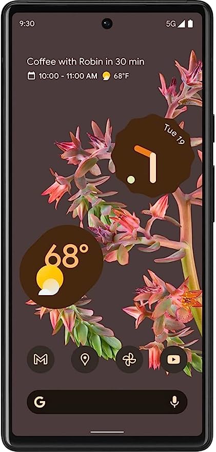 Google Pixel 6