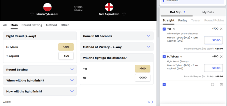 How to bet on MMA? Expert advice