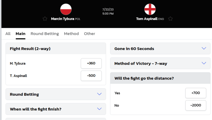 How to bet on MMA? Expert advice