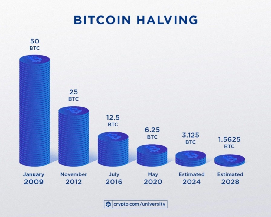 Next Bitcoin Halving
